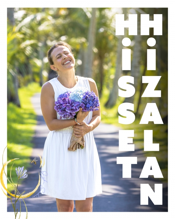 Hisset ve Hizalan Programı